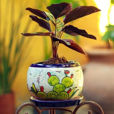 Primary image for Handcrafted Ceramic Flower Pot with Cactus Images Mexican Memories