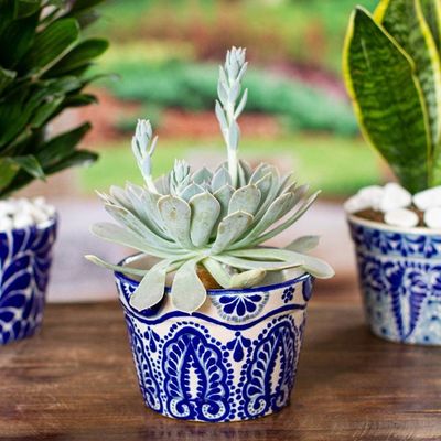 Alternate image for Handmade Talavera-Style Flower Pot Cobalt Plume