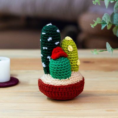 Primary image for Hand Crocheted Cactus Decor Accent Desert Flora