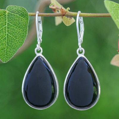 Alternate image for Black Onyx Sterling Silver Teardrop Dangle Earrings Nocturnal Sky