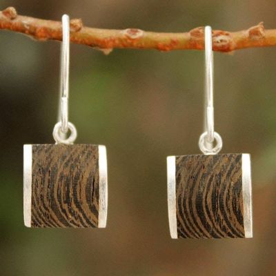 Alternate image for Handmade Wood Dangle Earrings from Thailand Natural Wonder