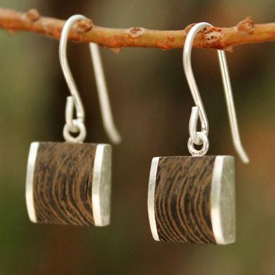 Alternate image for Handmade Wood Dangle Earrings from Thailand Natural Wonder