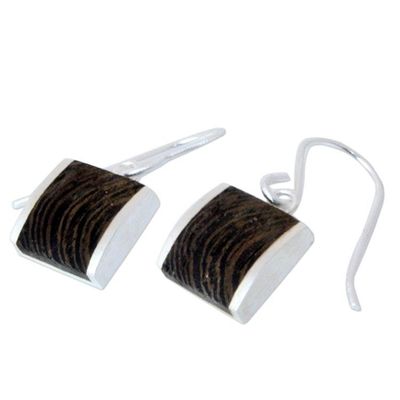 Alternate image for Handmade Wood Dangle Earrings from Thailand Natural Wonder