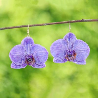 Alternate image for Gold-Accented Resin-Coated Natural Orchid Dangle Earrings Purple Whisper