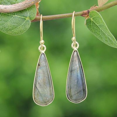 Alternate image for 18k Gold-Plated Drop-Shaped Labradorite Dangle Earrings Tranquil Dew