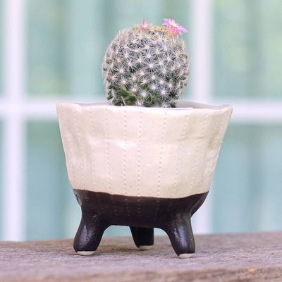 Primary image for Three-Legged Ceramic Flower Pot Handcrafted in Thailand Strong Roots