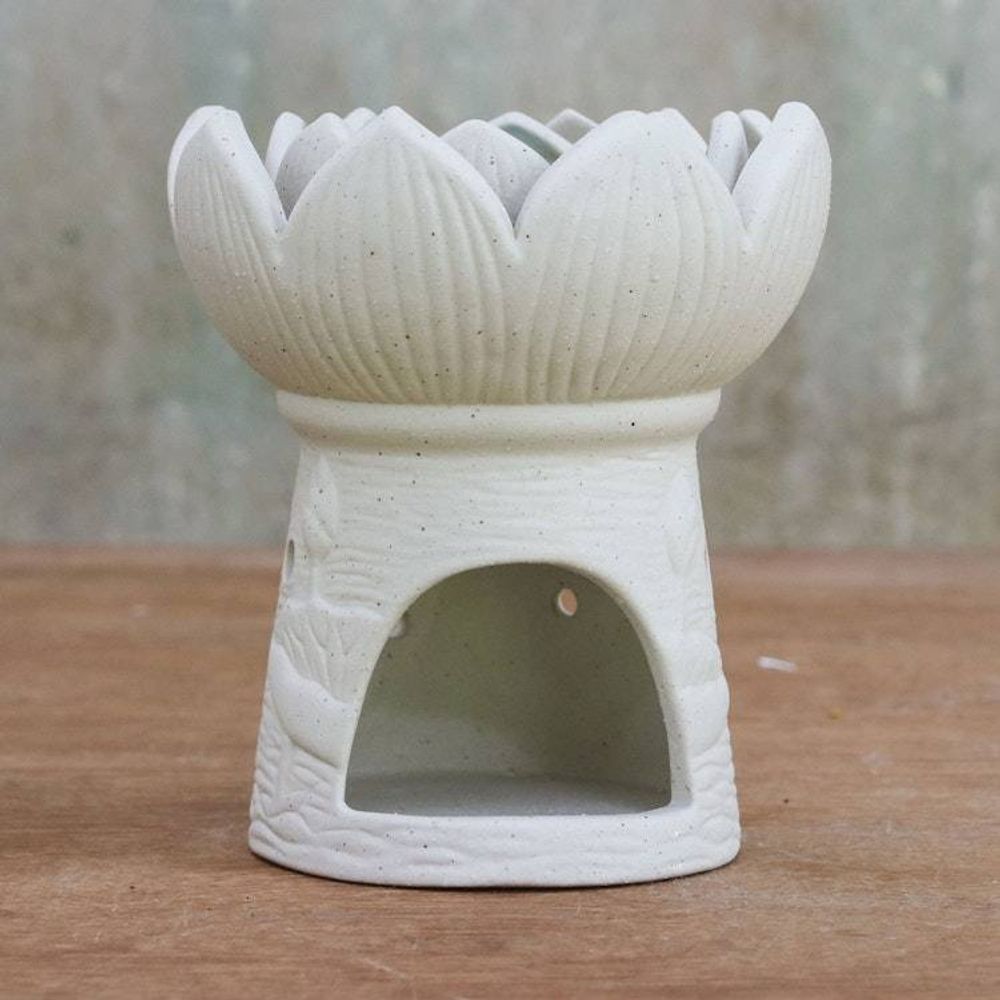 Main item image