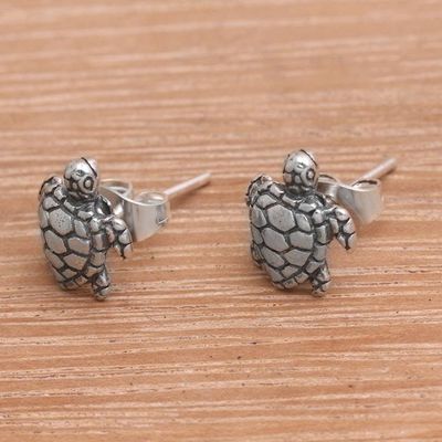 Alternate image for Artisan Made Sterling Silver Turtle Stud Earrings from Bali Sweet Shells