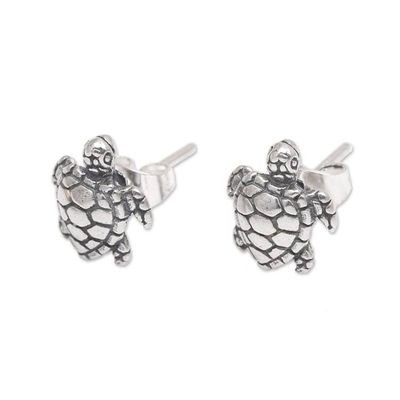 Alternate image for Artisan Made Sterling Silver Turtle Stud Earrings from Bali Sweet Shells