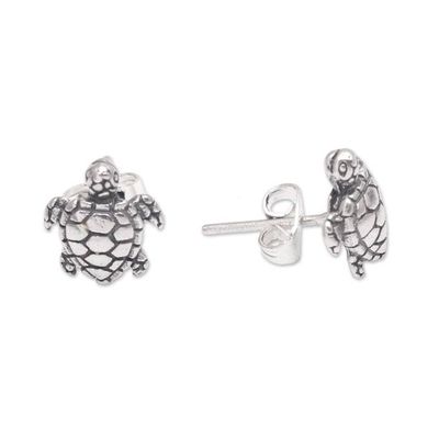Alternate image for Artisan Made Sterling Silver Turtle Stud Earrings from Bali Sweet Shells