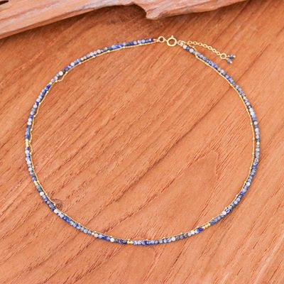 Alternate image for 6-Carat Lapis Lazuli Strand Necklace with 24k Golden Plating True Reflections