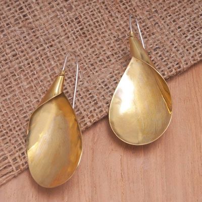 Primary image for Polished Brass Drop Earrings with Stainless Steel Hooks Radiant Thoughts