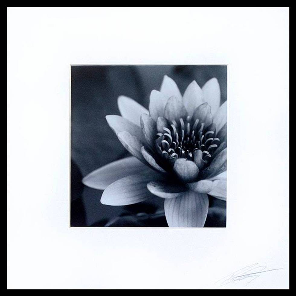 Grey Scale Signed White Lotus Blossom Photograph 'Purity'