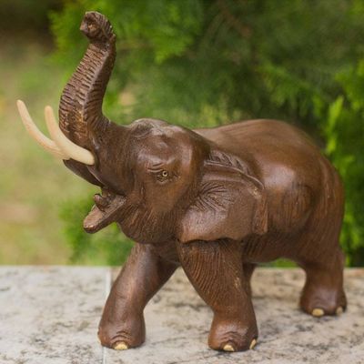 Primary image for Artisan Crafted Wood Sculpture Elephant Delight