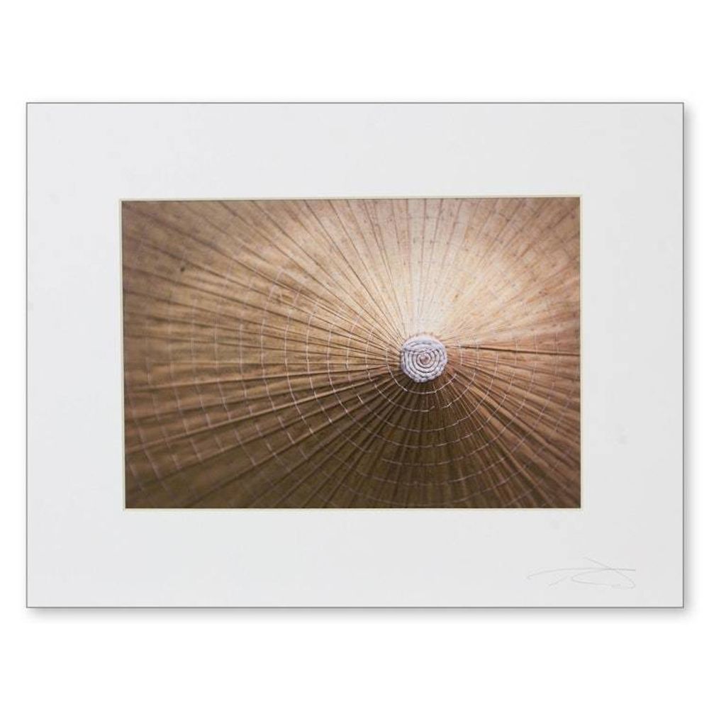 Main item image