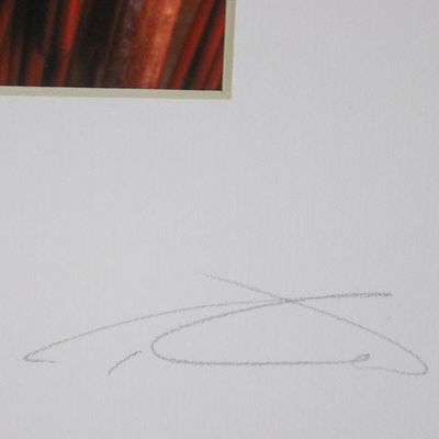 Alternate image for Signed and Matted Color Photograph of Drying Incense Drying Incense