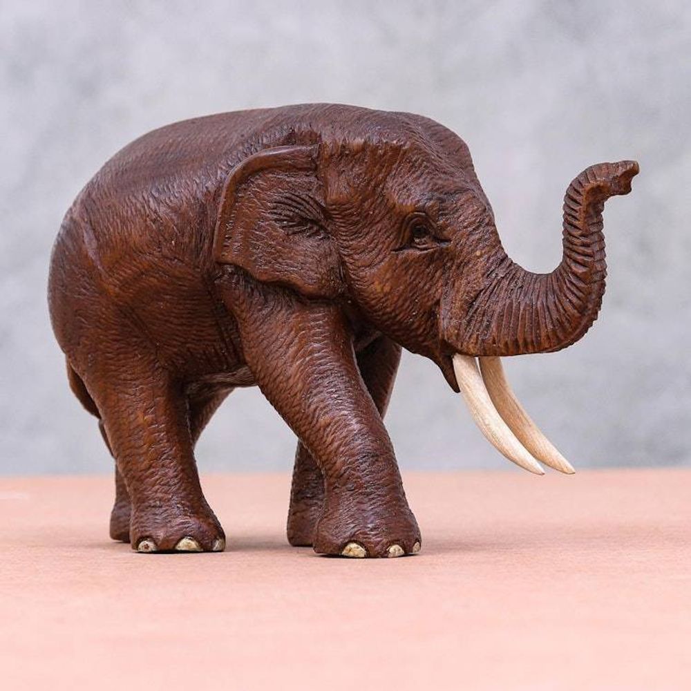 Main item image