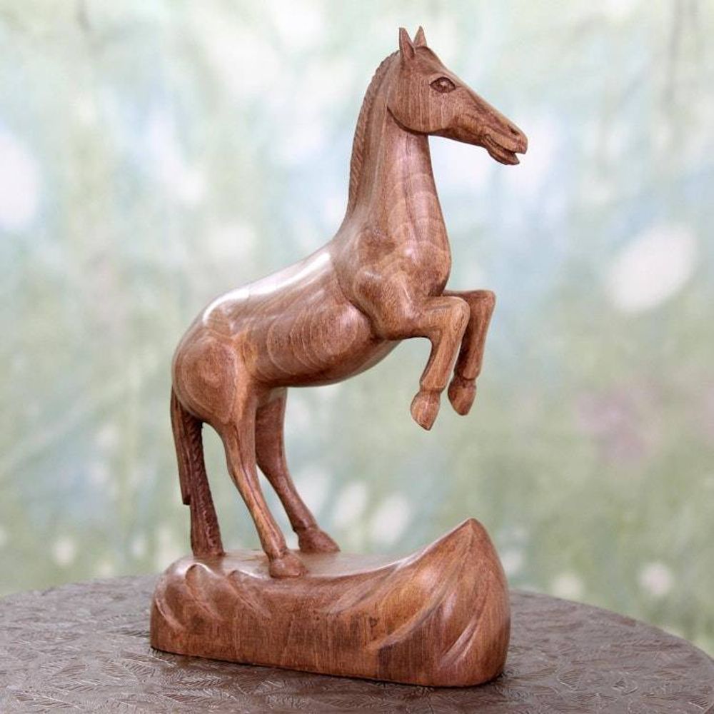 Main item image