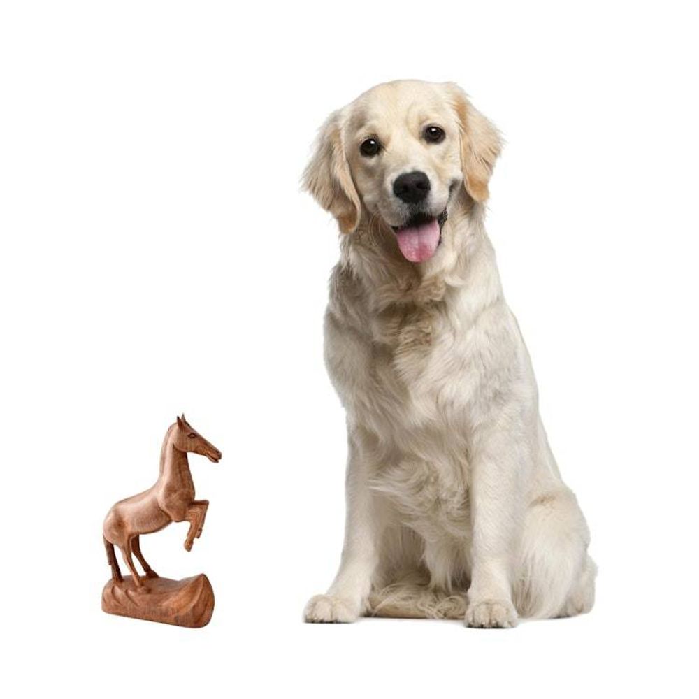 Alternate item image