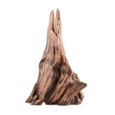 Alternate image for Reclaimed Abstract Driftwood Sculpture from India Best Buddies