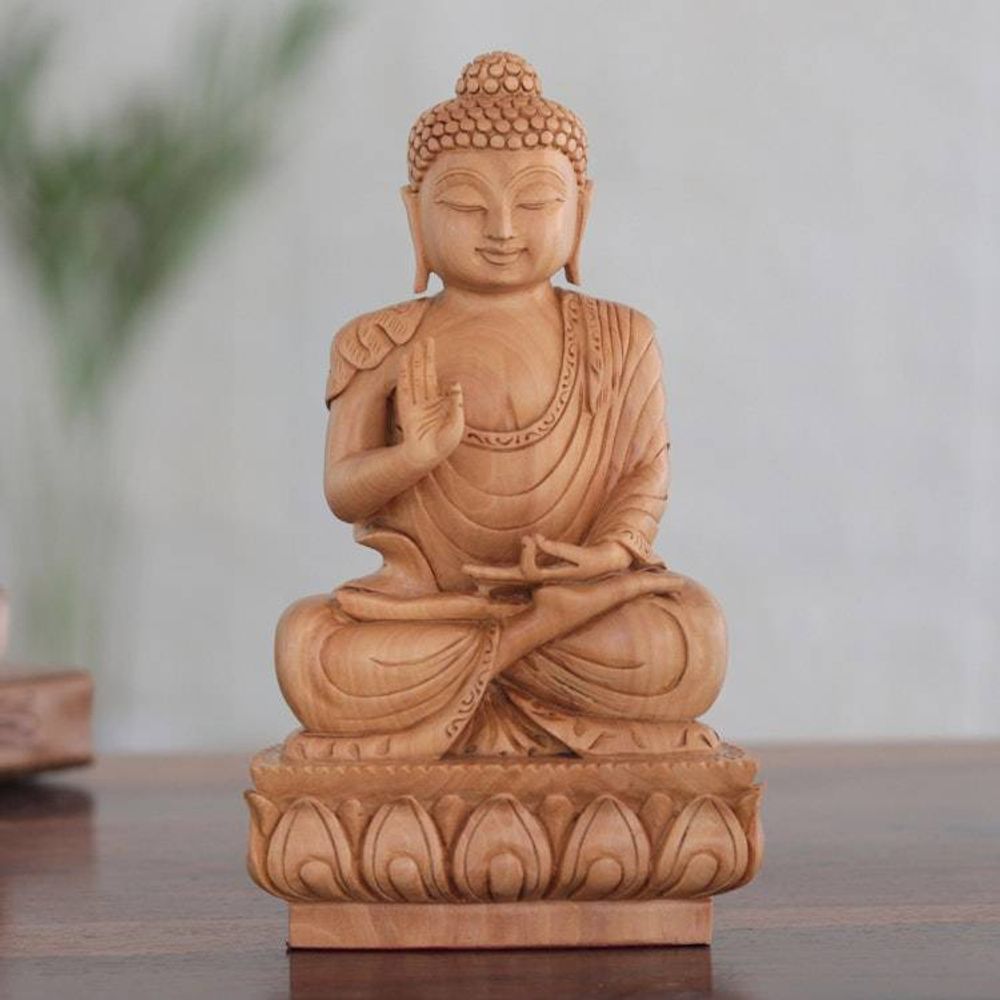 Main item image