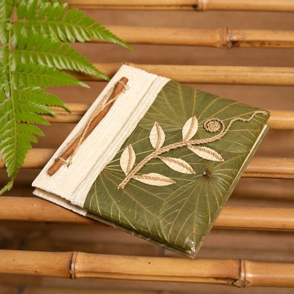 Main item image