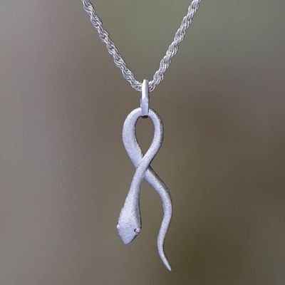 Primary image for Artisan Crafted Sterling Silver Snake Pendant Necklace Sublime Serpent