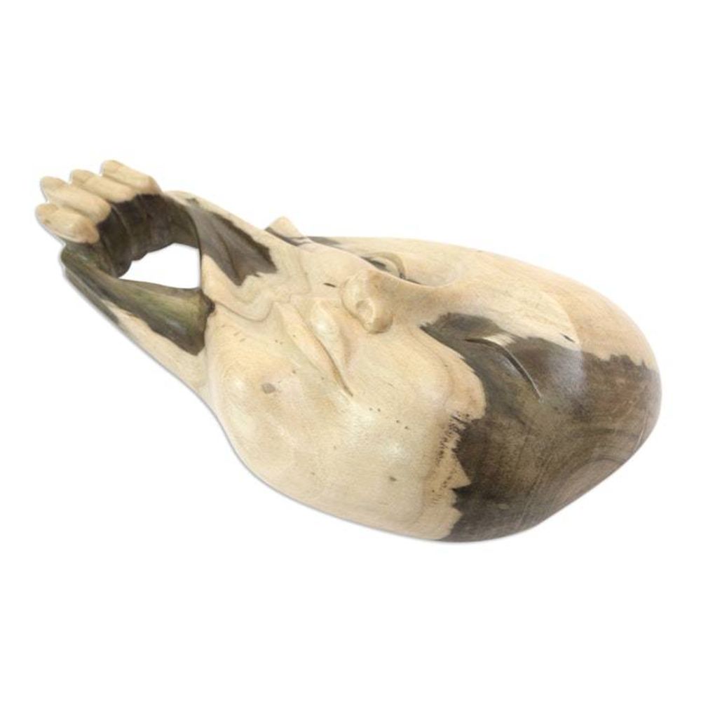 Alternate item image