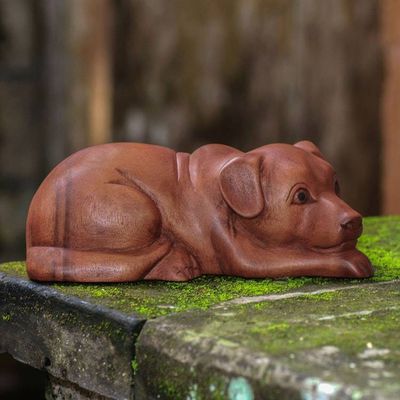 Alternate image for Hand-Carved Suar Wood Dog Sculpture from Bali Good Boy
