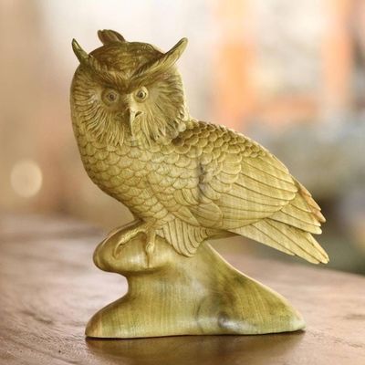 Alternate image for Hand-Carved Hibiscus Wood Sculpture of a Focused Owl Focused Owl