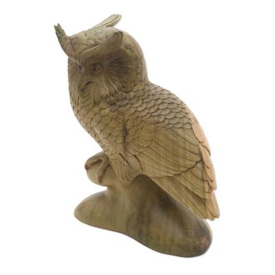 Alternate image for Hand-Carved Hibiscus Wood Sculpture of a Focused Owl Focused Owl