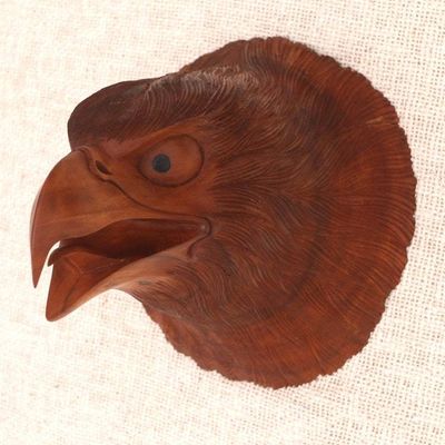 Primary image for Hand Carved Suar Wood Eagle Head Wall Decor Eagle Eyes