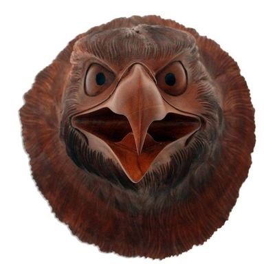 Alternate image for Hand Carved Suar Wood Eagle Head Wall Decor Eagle Eyes