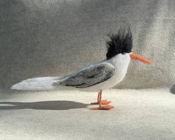 Alternate image for Tern bird, needle felted shore bird, A sea bird name Sterling