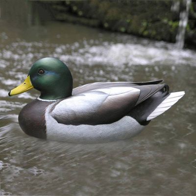 Alternate image for Wood Duck Sculpture Male Mallard