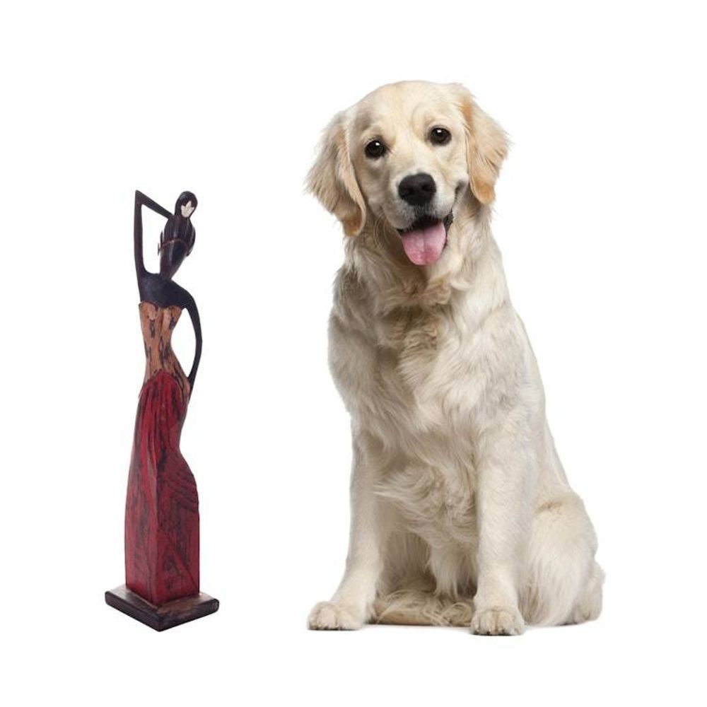 Alternate item image