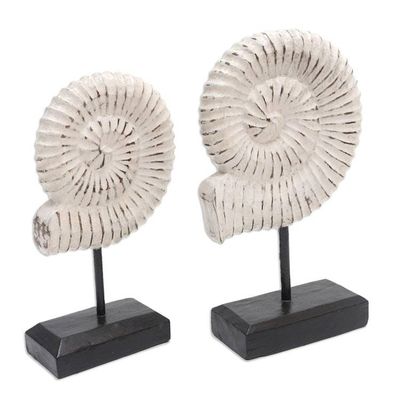 Alternate image for Handmade Albesia Wood Snail Statuettes Pair Snail Spirals