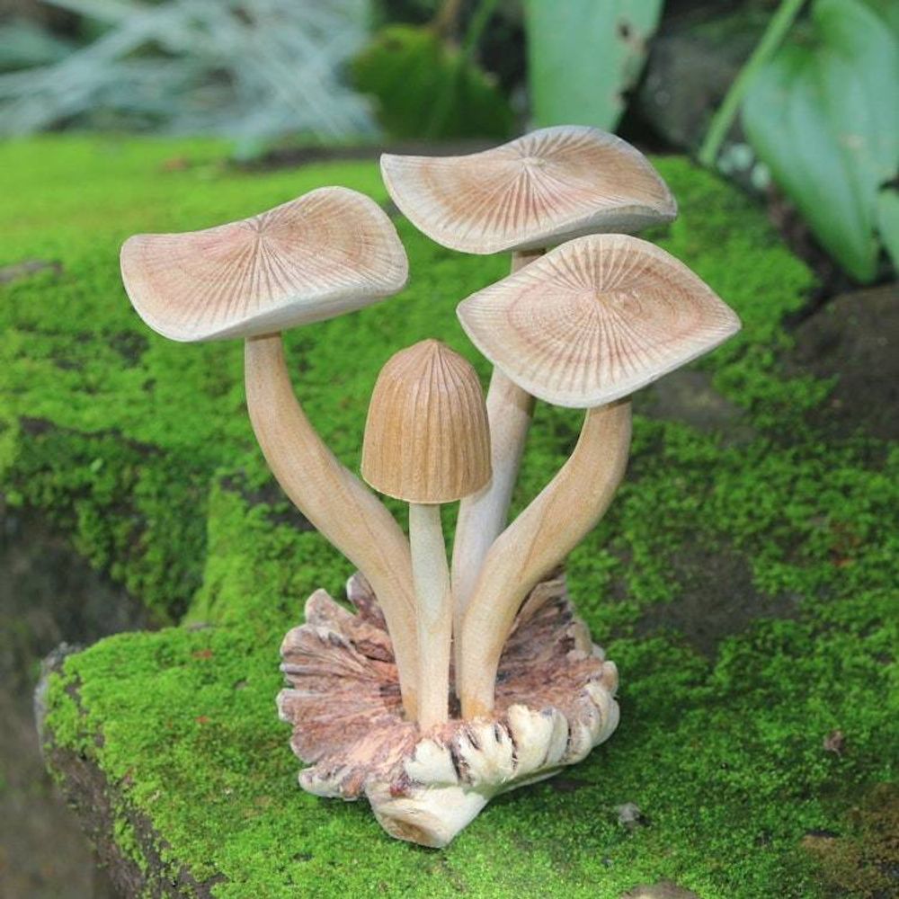 Main item image