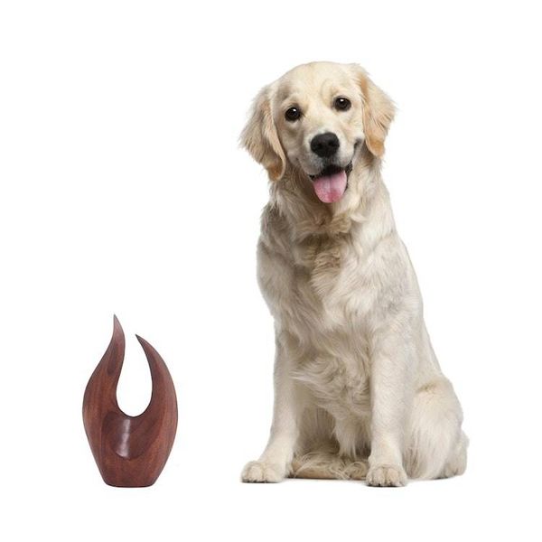 Alternate image for Hand Carved Natural Suar Wood Fire Flames Sculpture Fire Flames