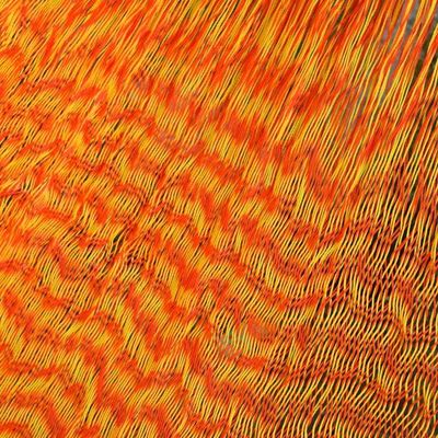 Alternate image for Nylon Rope Hammock in Daffodil and Tangerine Single Mexico Daffodil Dreams