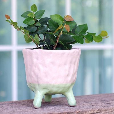Alternate image for Curated Gift Set with 6 Ceramic Figurines and Flower Pot Pastel Garden