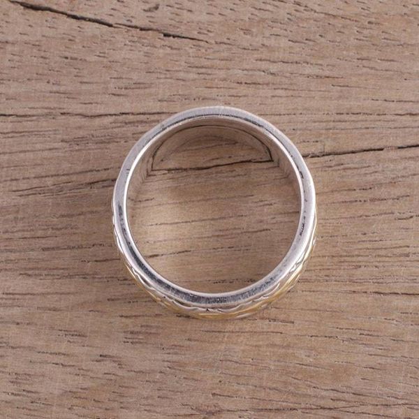 Alternate image for Sterling Silver and Brass Spinner Ring from India Beautiful Rotation