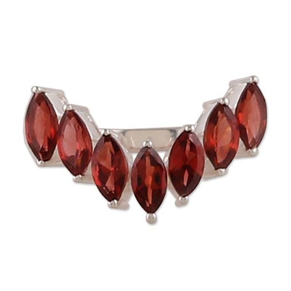 Alternate image for High-Polished Faceted Two-Carat Garnet Band Ring Scarlet Array