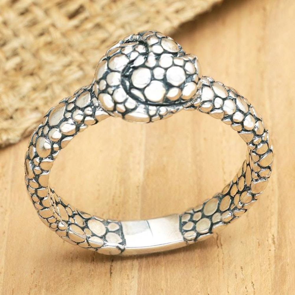 Main item image