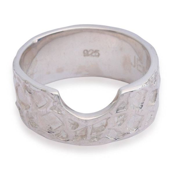 Alternate image for Modern Sterling Silver Band Ring with Textured Finish Scales of Splendor