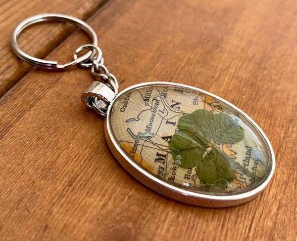 Alternate image for Genuine four-leaf clover keychain with vintage map of Maine