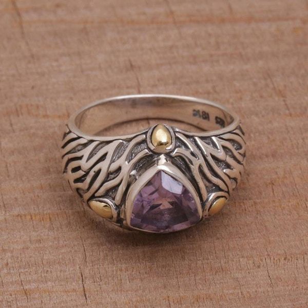 Alternate image for Sterling Silver and Amethyst Ring with 18K Gold Accents Deep Roots
