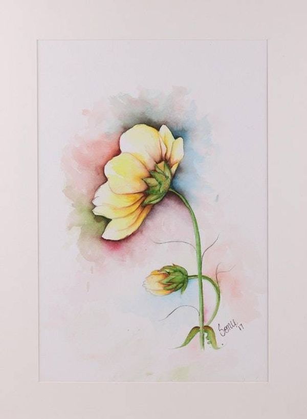 Alternate image for Signed Realist Painting of a Yellow Flower from India Yellow Wonder