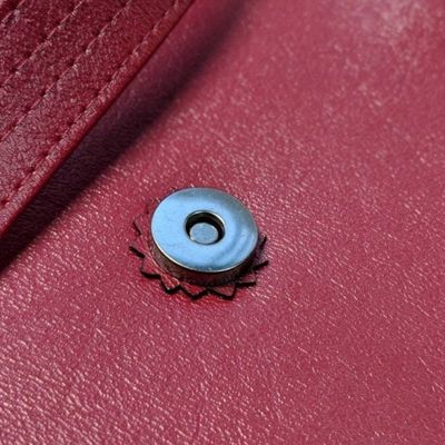 Alternate image for Shoulder Bag in Crimson - The Lyrist