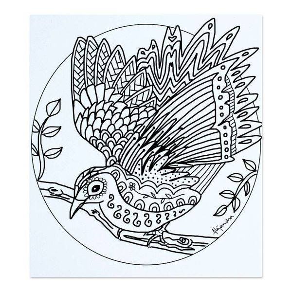 Alternate image for Mexican Bird Themed Coloring Postcards Pair Bird Enchantment